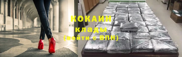 PSILOCYBIN Снежногорск
