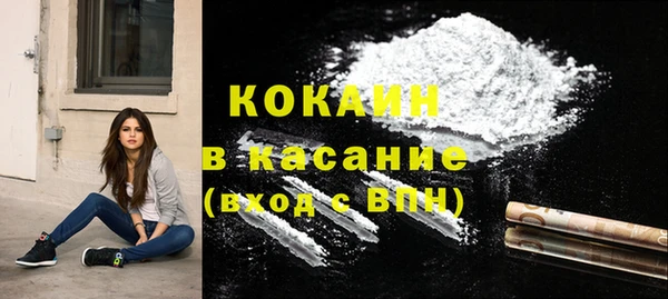 крисы Слюдянка