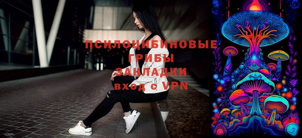 крисы Слюдянка