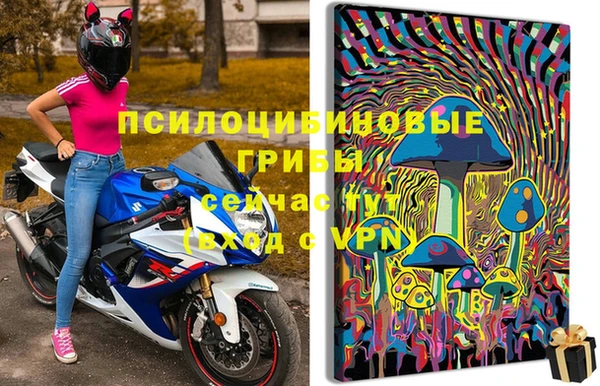 стаф Снежинск