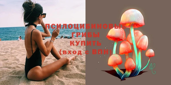 дурь Фёдоровский